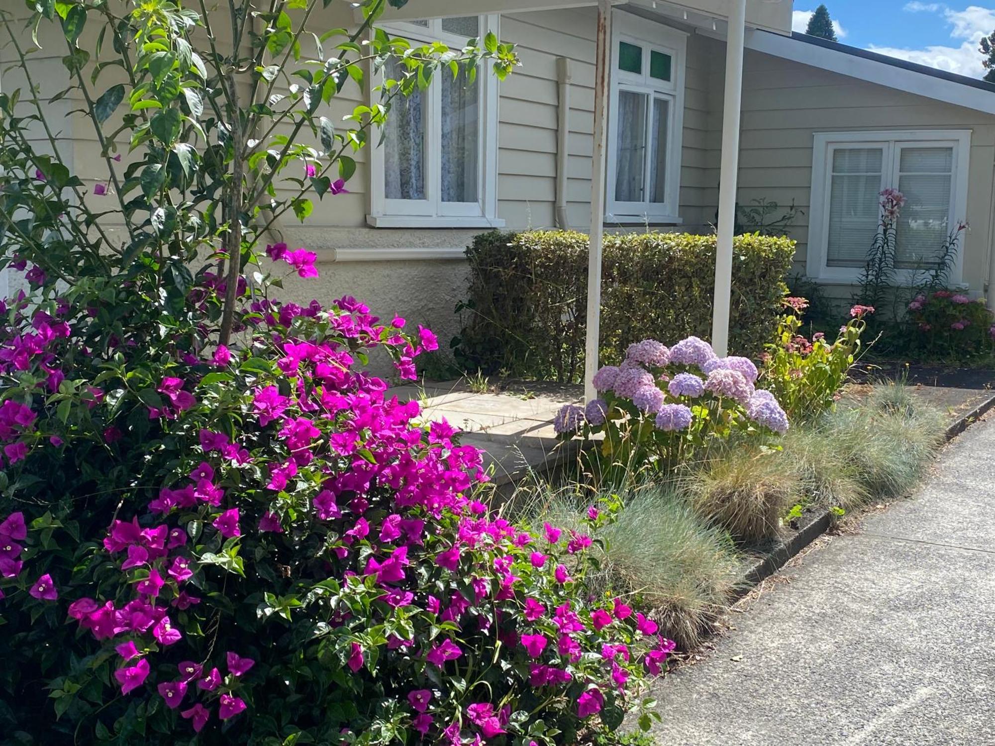 Green Garden Home Whangarei Bagian luar foto